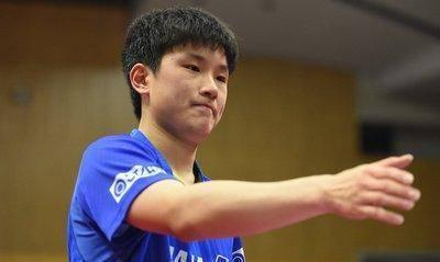 张本智和全家迁居德国，80万欧元年薪背后的现实